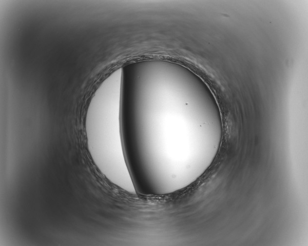 X0000089691494200706210823