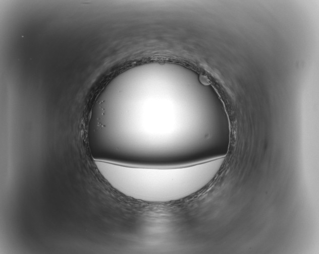 X0000089691495200706210823