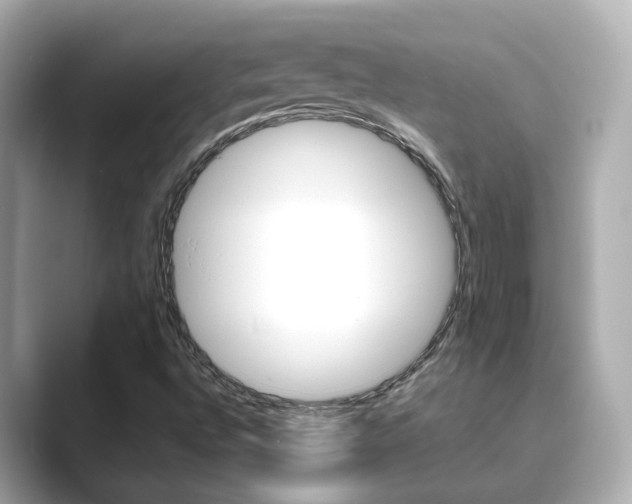 X0000089691496200706210823