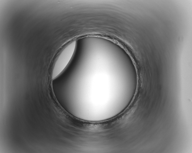 X0000089691497200706210823