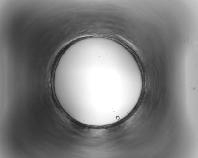X0000089691498200706210823