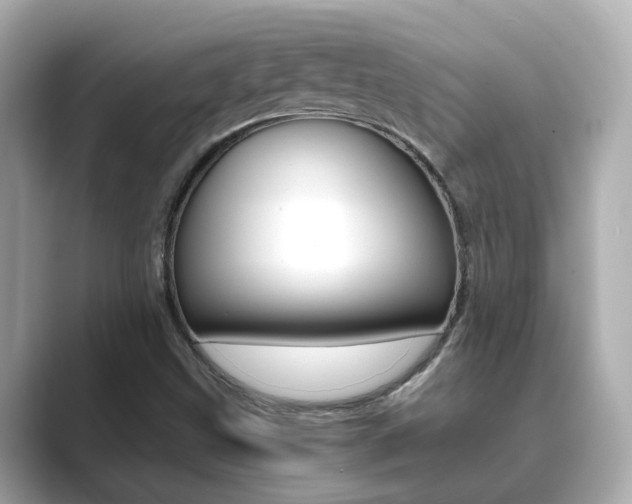 X0000089691499200706210823