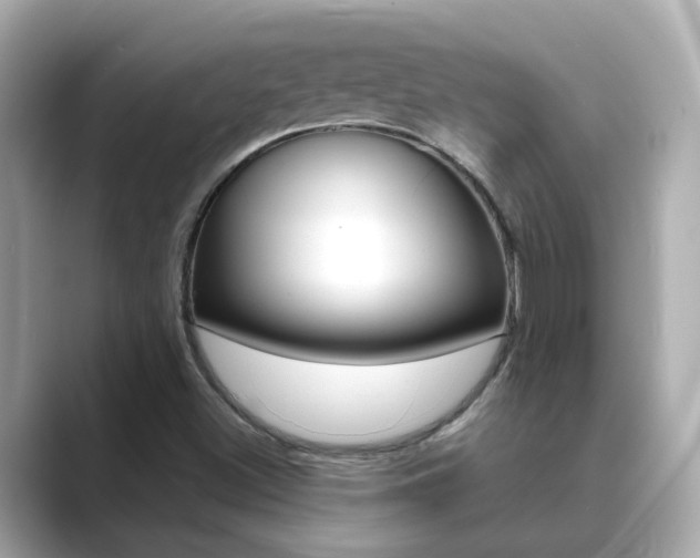 X0000089691500200706210823