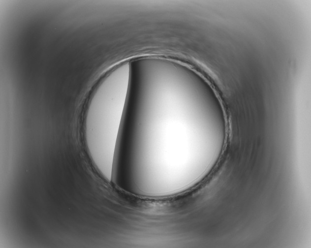 X0000089691501200706210823