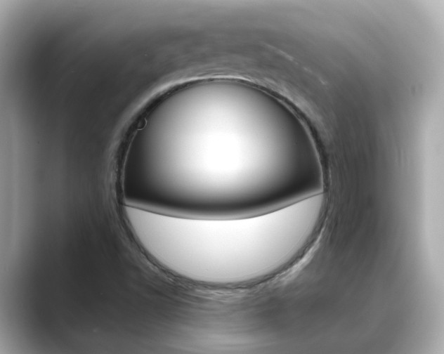 X0000089691502200706210823