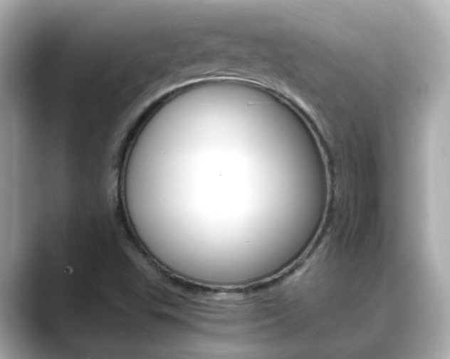 X0000089691503200706210823
