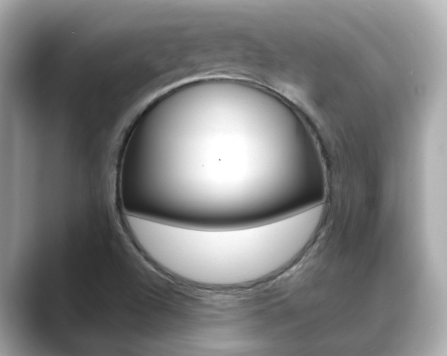 X0000089691504200706210823