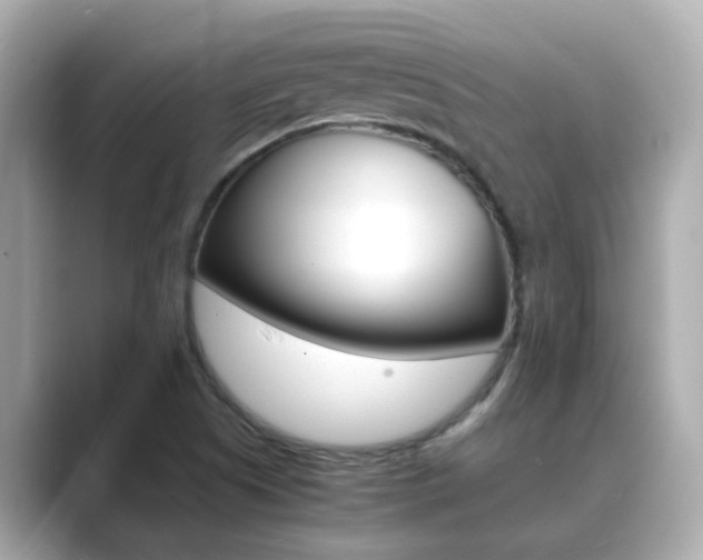 X0000089691505200706210823