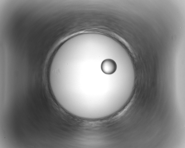 X0000089691506200706210823