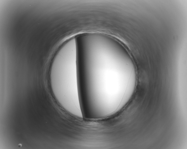 X0000089691507200706210823
