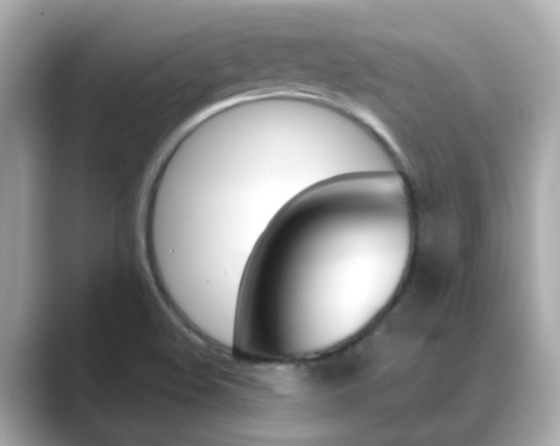 X0000089691508200706210824
