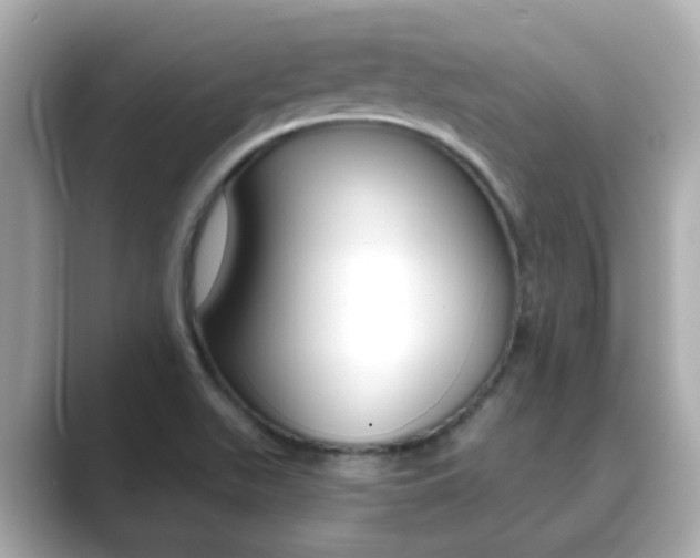 X0000089691511200706210824