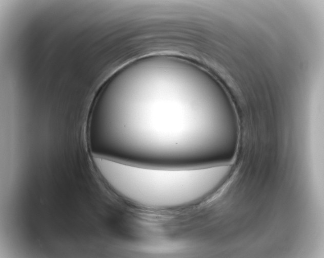 X0000089691513200706210824