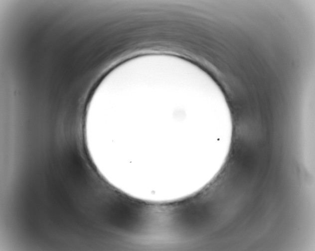 X0000089691514200706210824