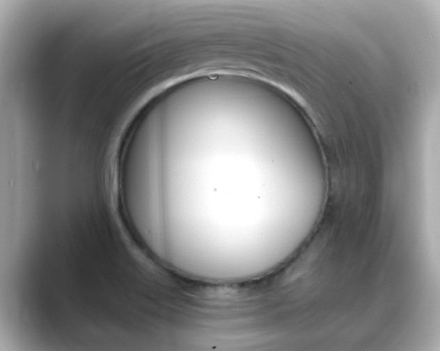X0000089691515200706210824