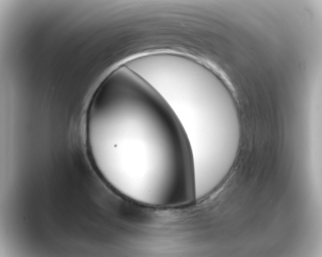 X0000089691516200706210824