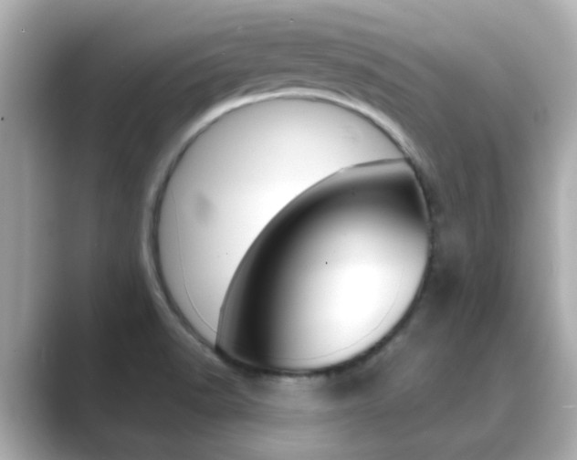 X0000089691518200706210824