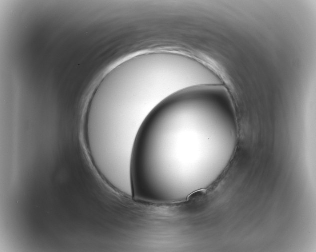 X0000089691520200706210824