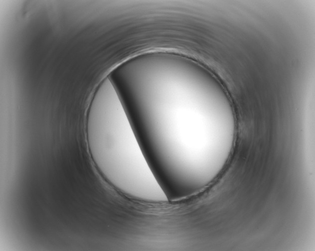 X0000089691521200706210824
