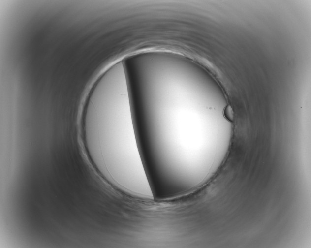 X0000089691522200706210824