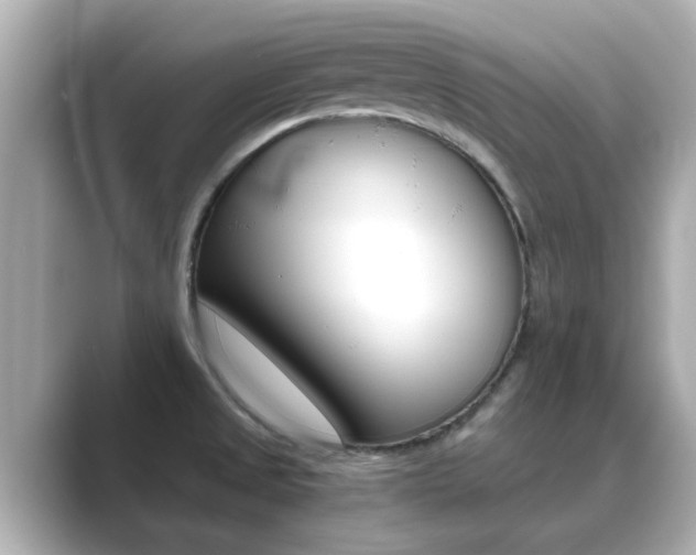 X0000089691525200706210824