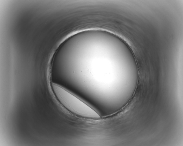 X0000089691526200706210824