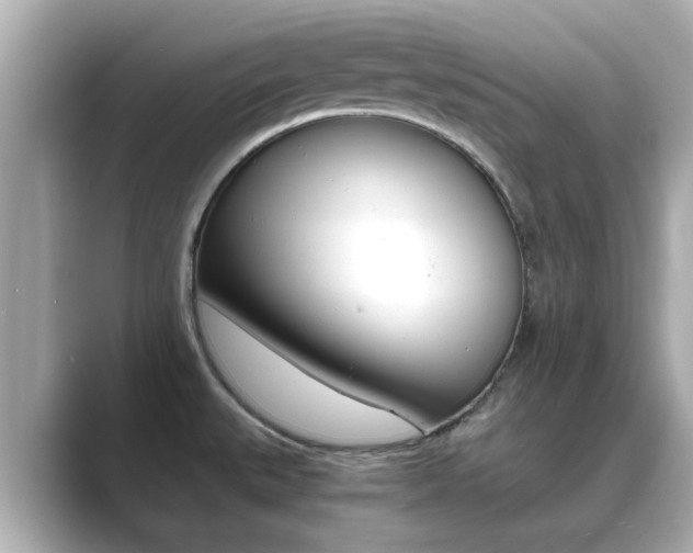 X0000089691527200706210824