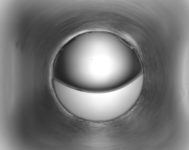 X0000089691528200706210824