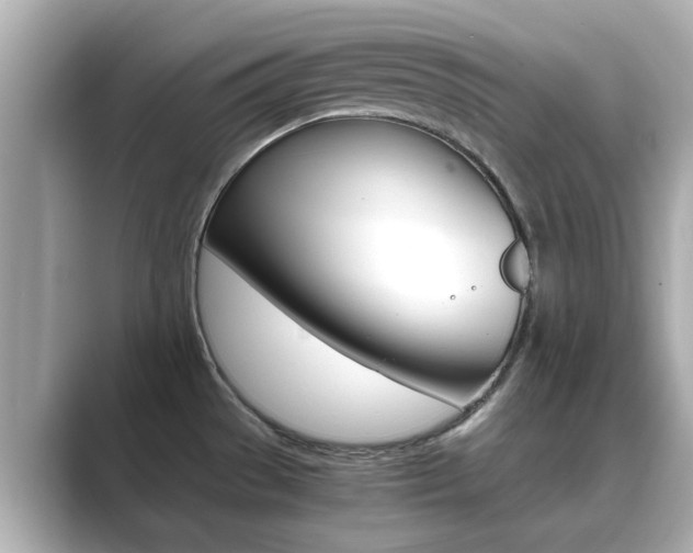 X0000089691529200706210824