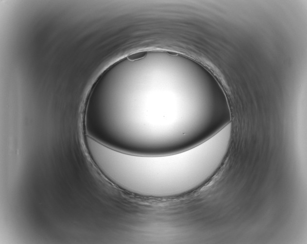 X0000089691530200706210824