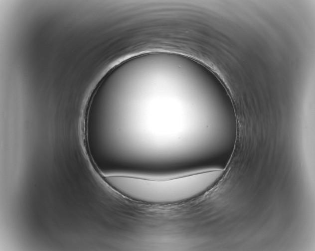 X0000089691531200706210824