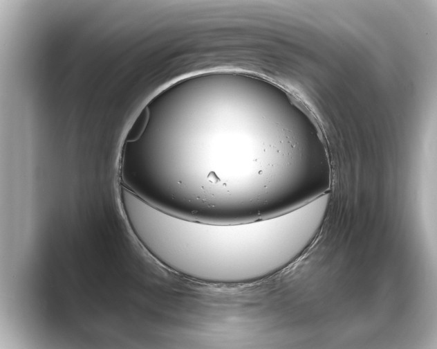 X0000089691532200706210824