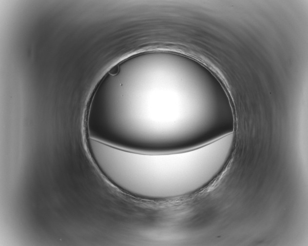 X0000089691533200706210824