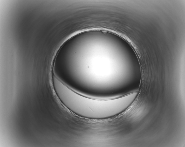 X0000089691534200706210824