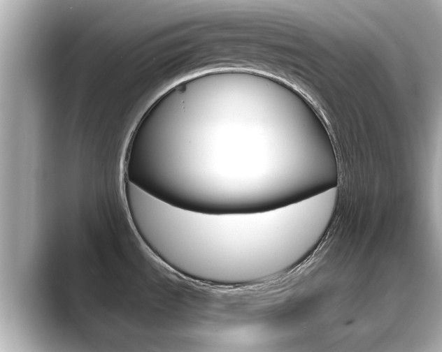X0000089691535200706210824