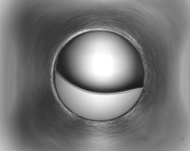 X0000089691536200706210824