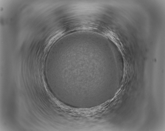 X0000089690001200706211302