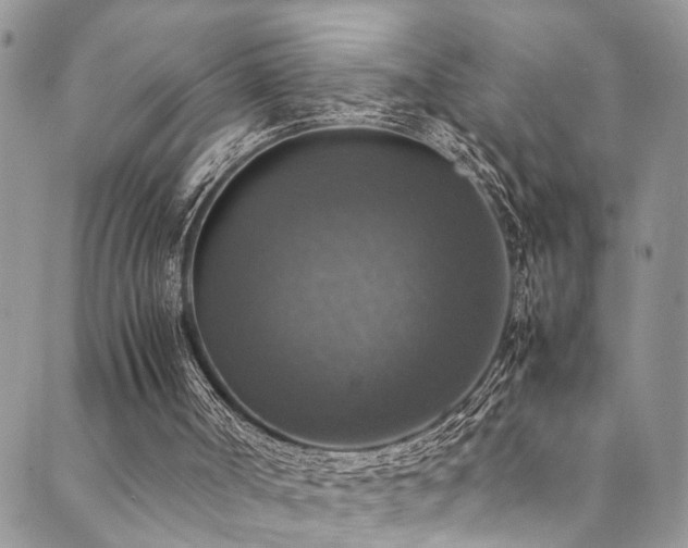 X0000089690002200706211302