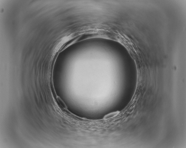 X0000089690003200706211302