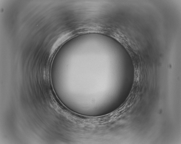 X0000089690004200706211302