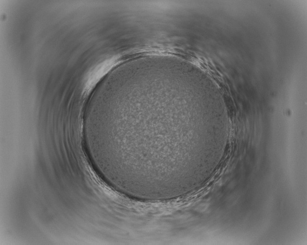 X0000089690005200706211302