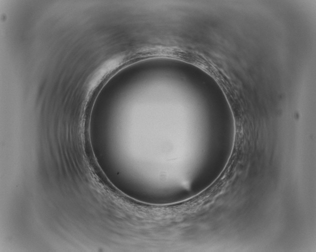 X0000089690006200706211302