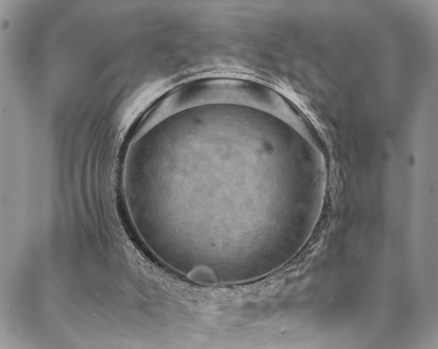 X0000089690007200706211302