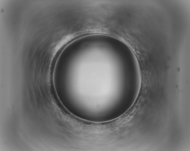 X0000089690008200706211302