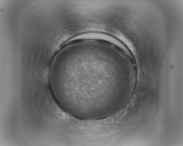 X0000089690009200706211302