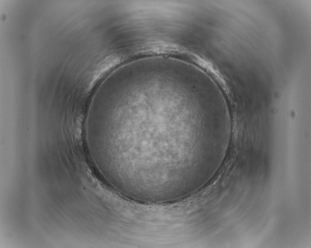 X0000089690010200706211302