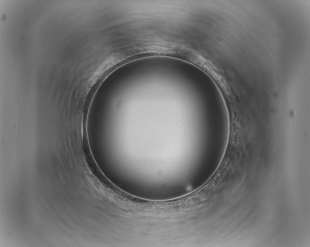 X0000089690011200706211302