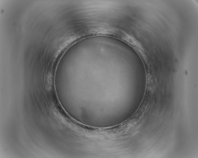 X0000089690012200706211302