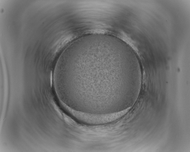 X0000089690013200706211302