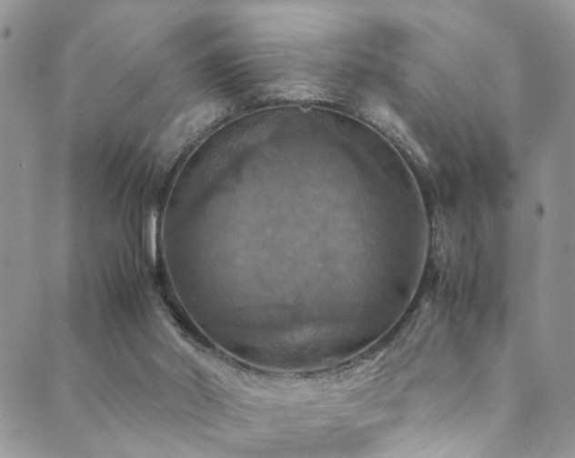 X0000089690014200706211302